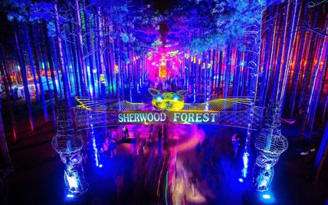 electric forest 2015