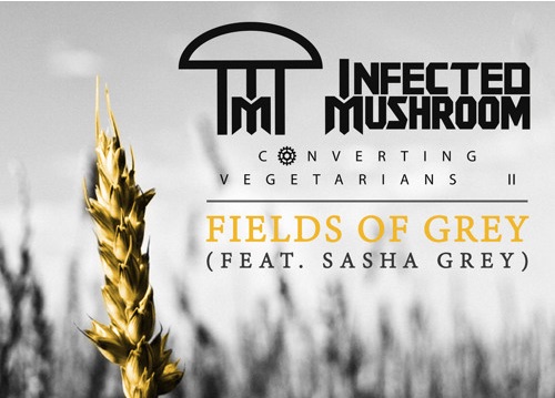 Fields-of-Grey (1)