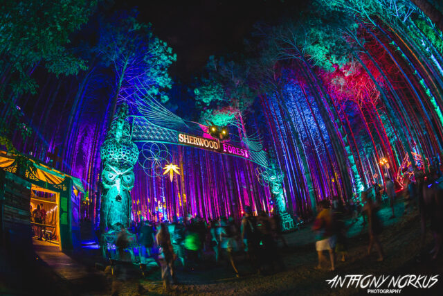 electric forest 2016 lineup