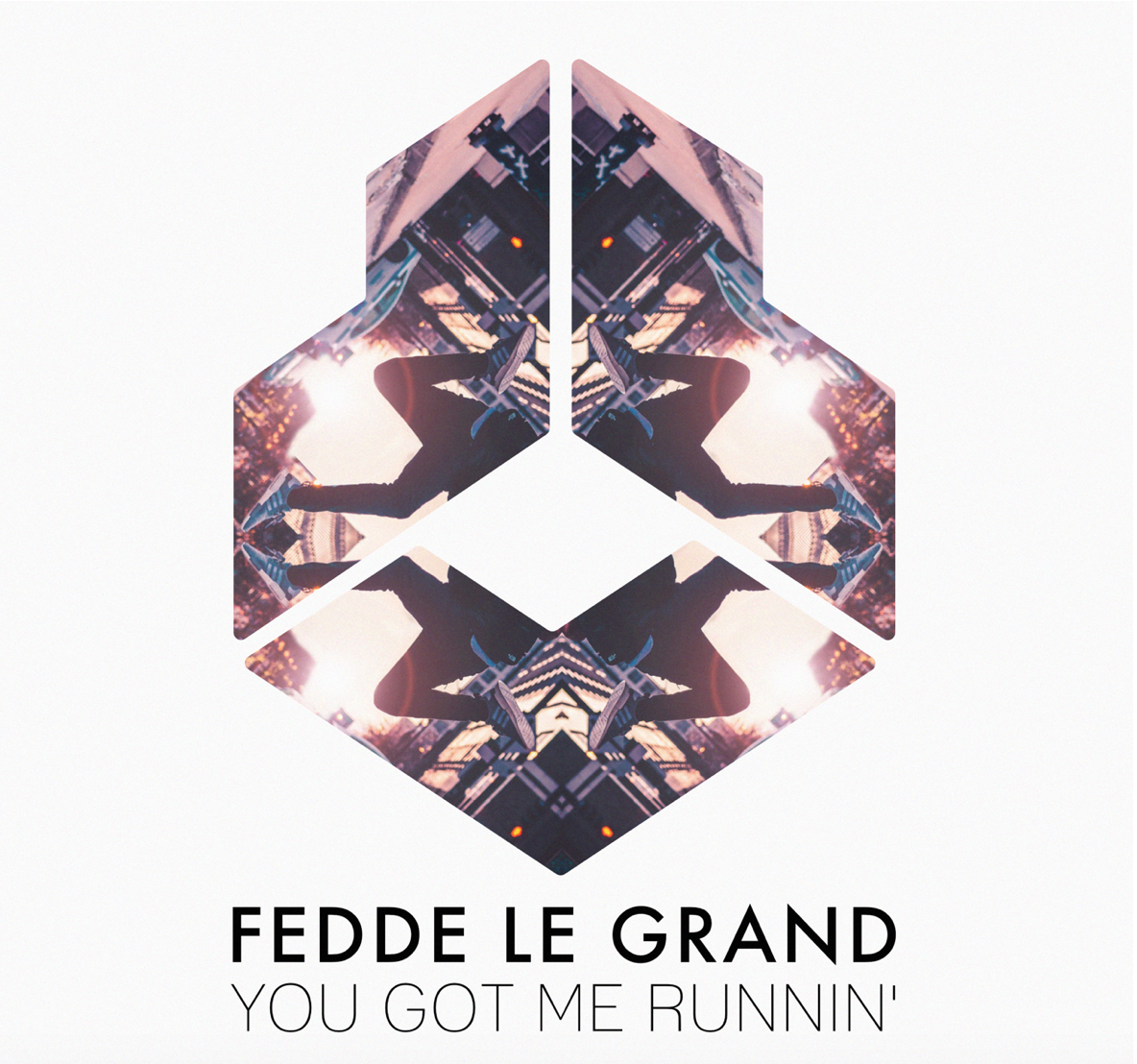 fedde le grand