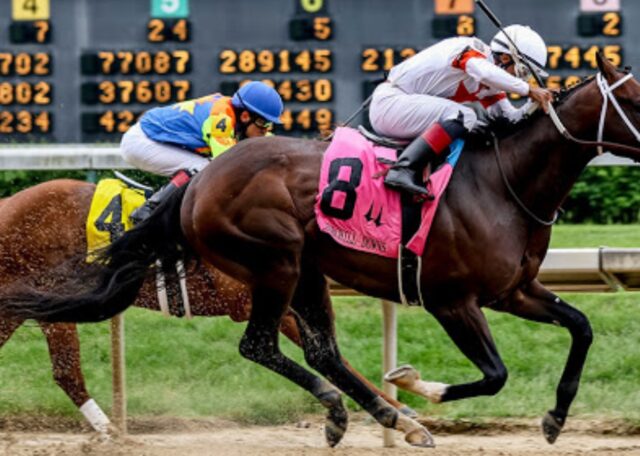 horse racing