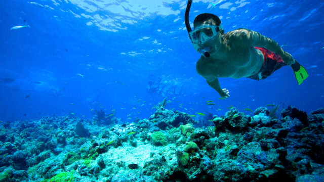 snorkeling