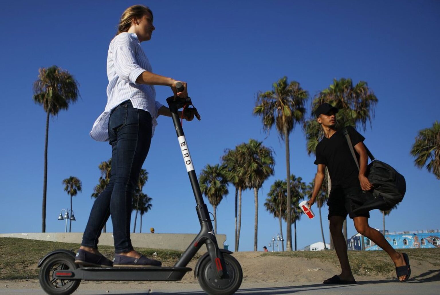 7 Reasons Why EScooters Are Actually Good For The Environment EDM Chicago