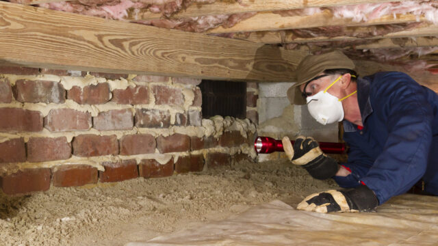 Home inspector looks for termites in residential home's crawl space