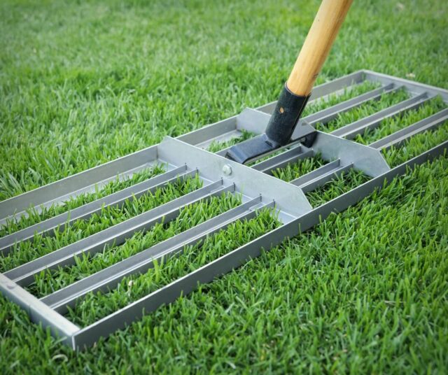 5 Tools to Maintain a Perfect Lawn - EDM Chicago