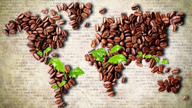 Coffee Grown in Different Countries
