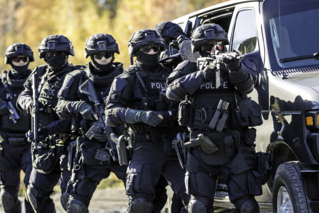 Swatters Are Getting Bolder
