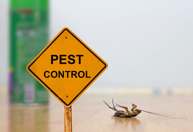 Pest-Control1