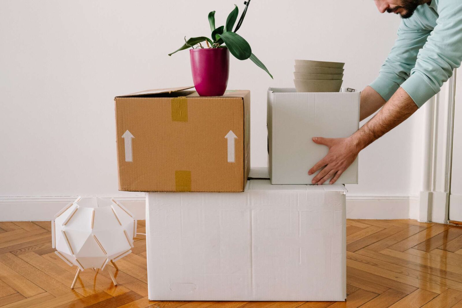 Plan and Carry Out a Move