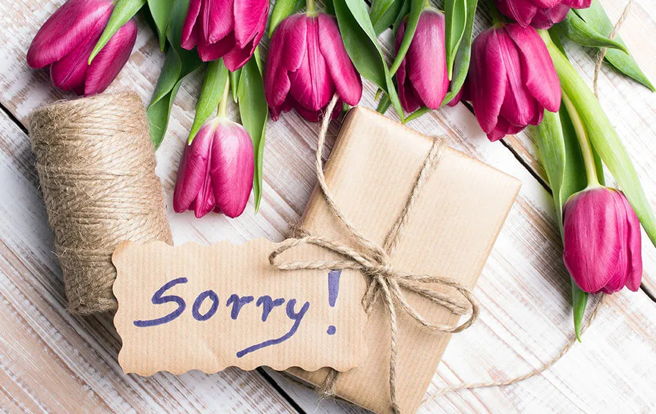 Flowers-The-Best-Way-to-Say-Sorry