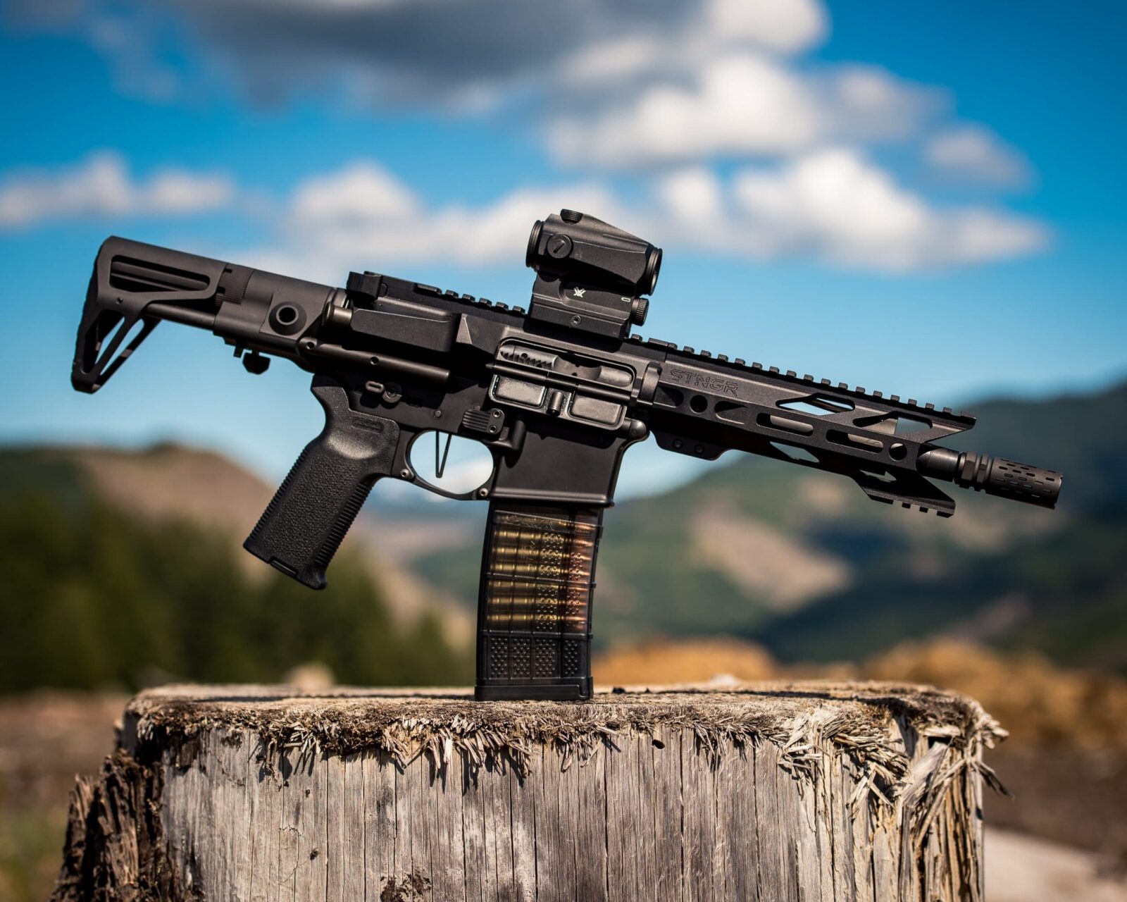 best-rifle-scaled