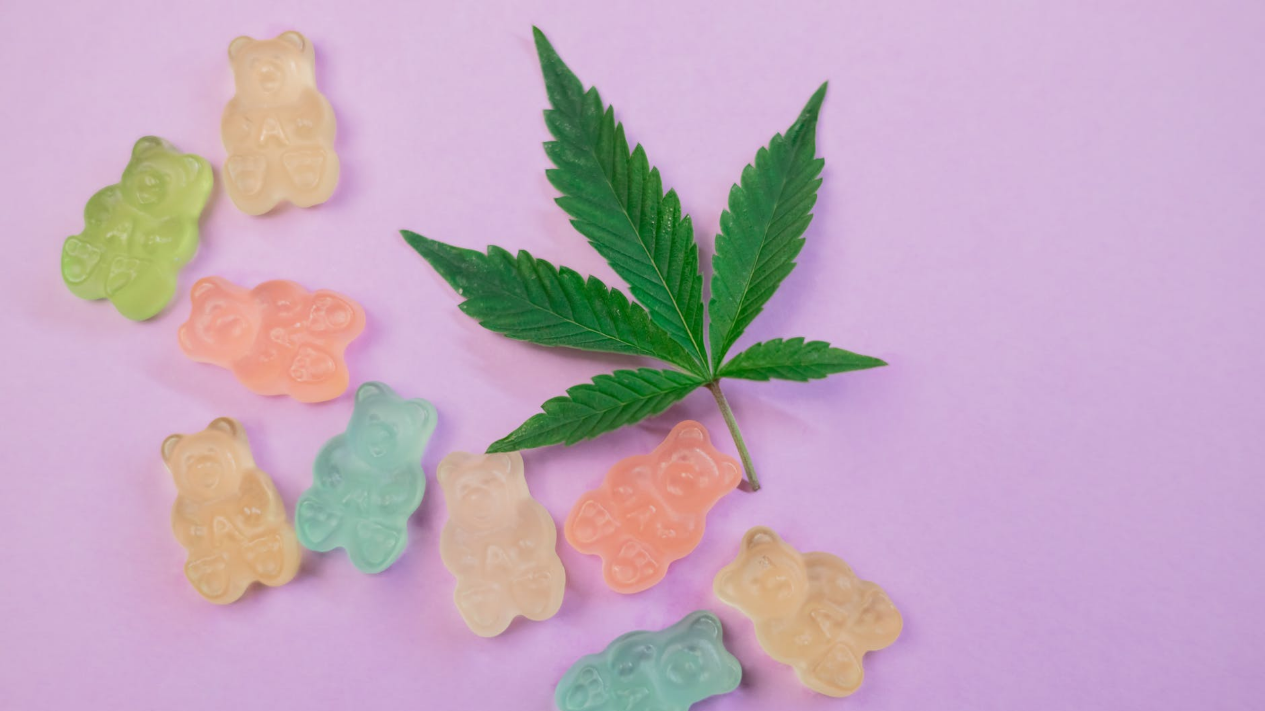 cbd