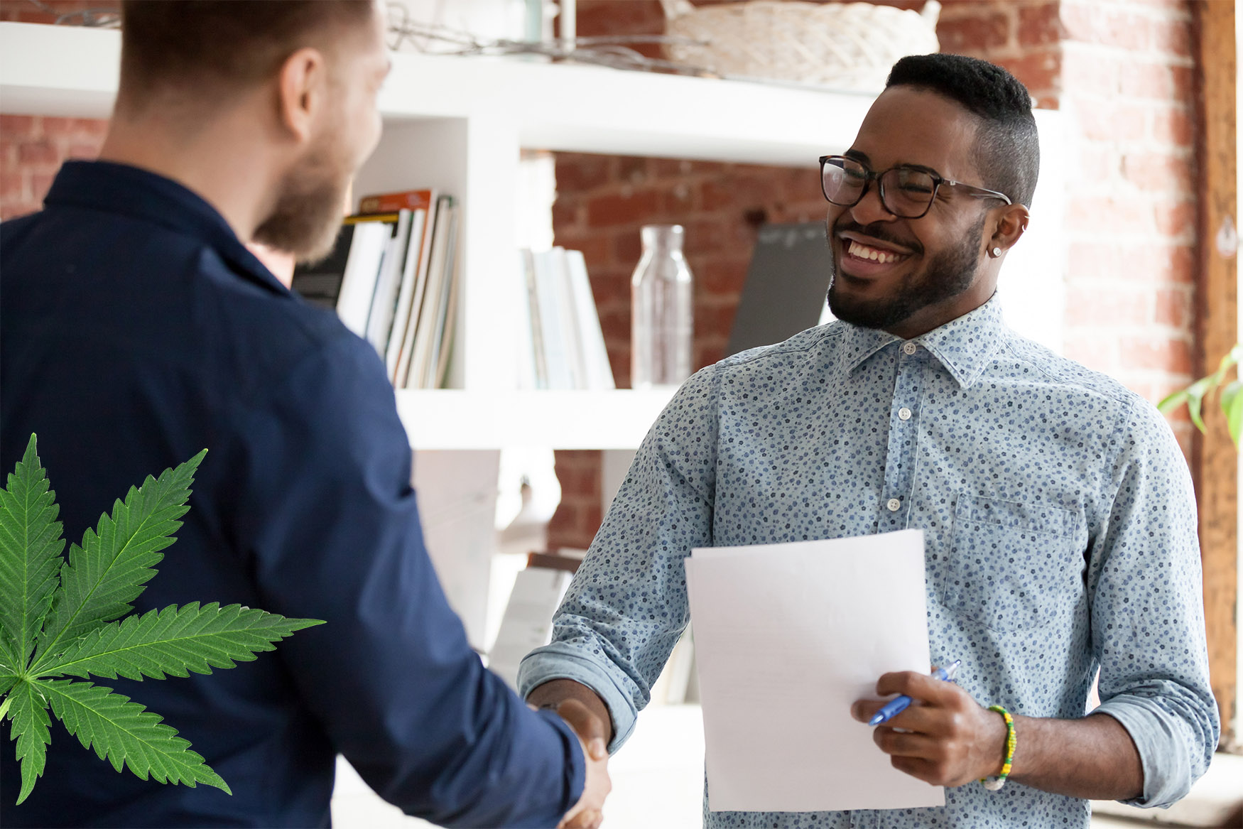 Cannabis Businesses