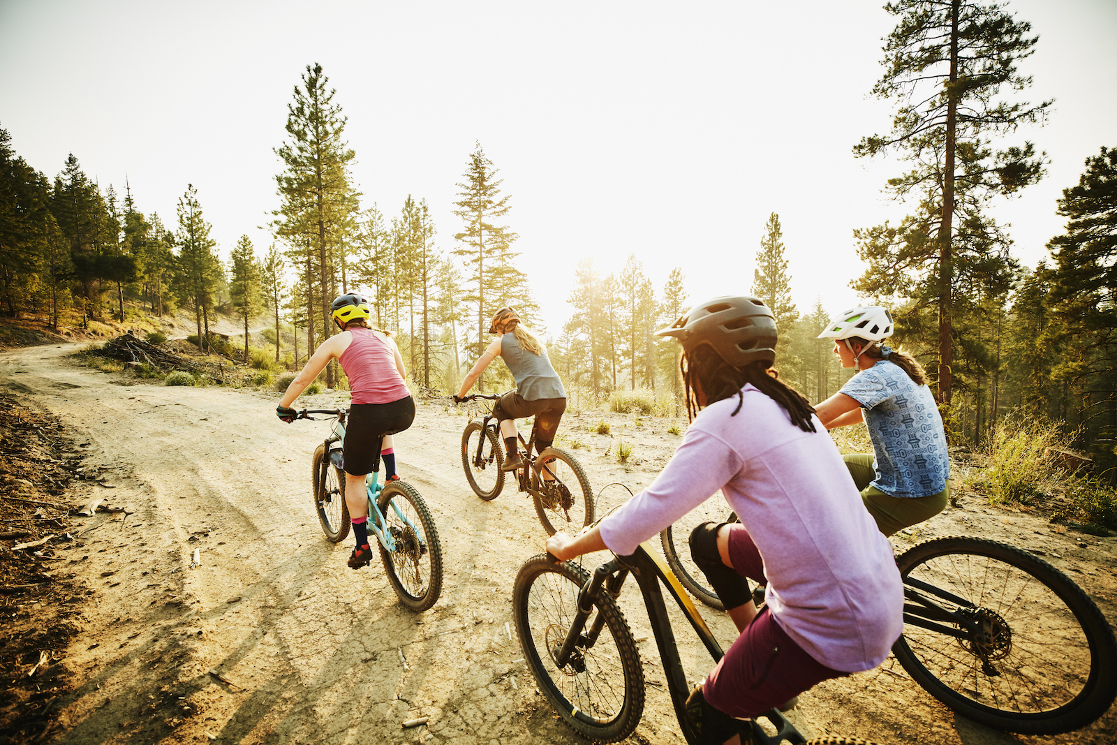 Female mountain bikers riding on forest road on summer evening