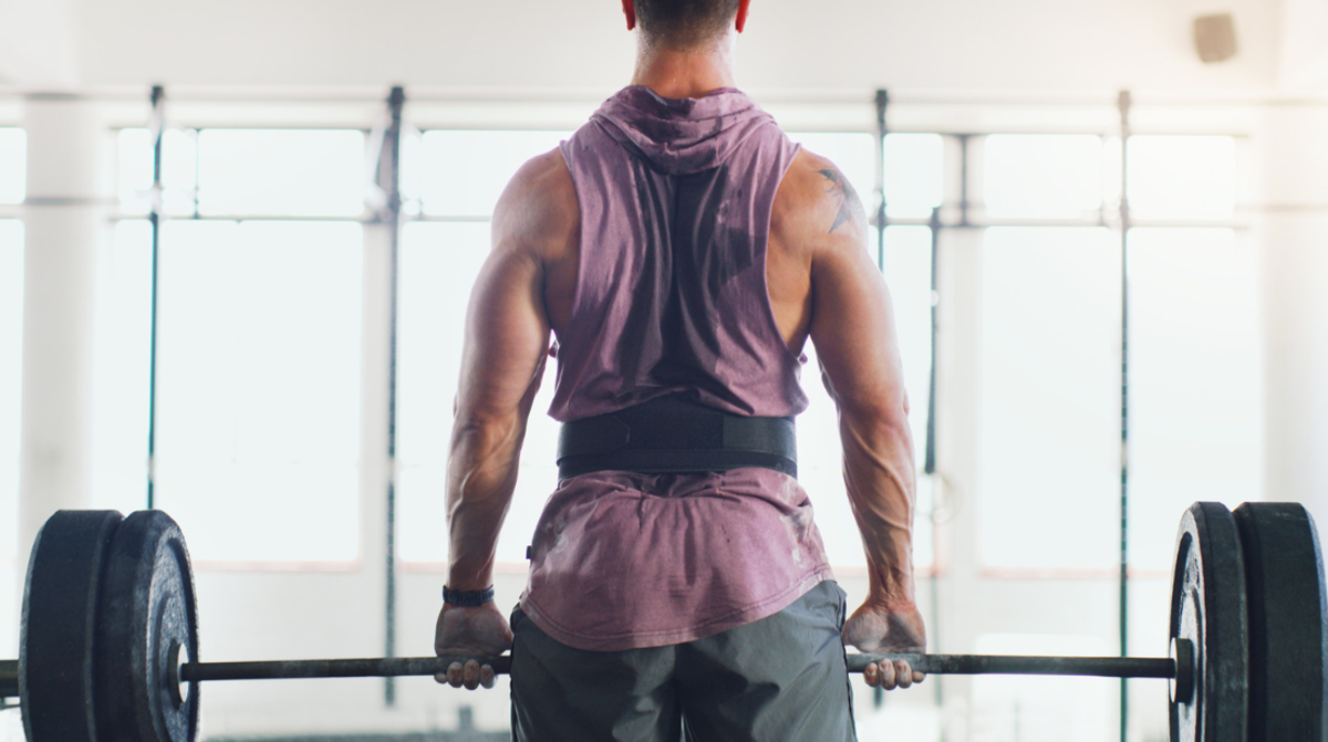 powerlifting belts