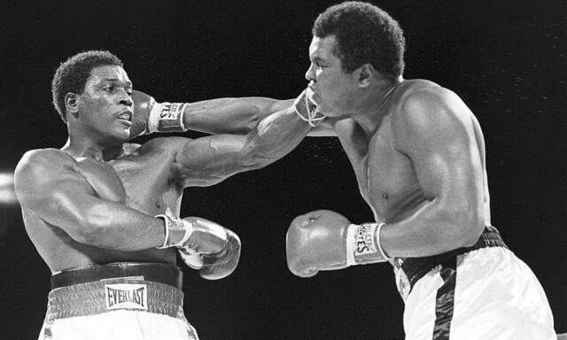 Heavyweight-boxers-big