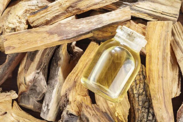 Palo Santo Oil