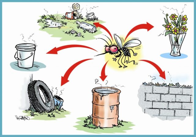 Preventing Mosquito-Borne Diseases