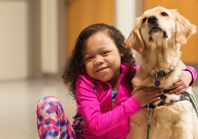 Unleashing the Healing Power The Benefits of Therapy Dogs and How to Own One EDM Chicago