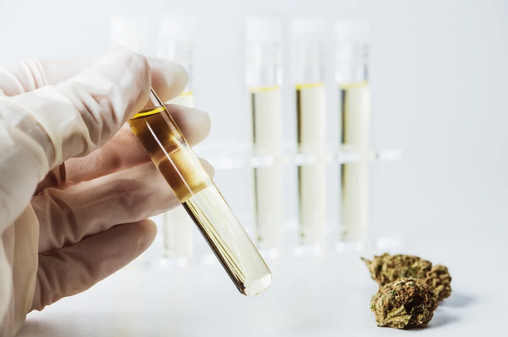 3rd-Party CBD Testing