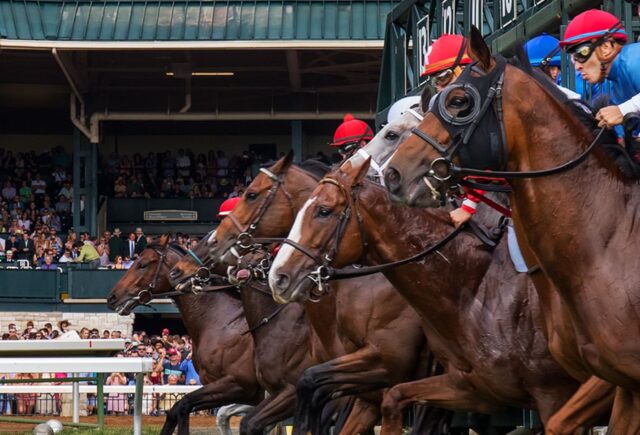 Destinations For Horse Racing Enthusiasts To Visit