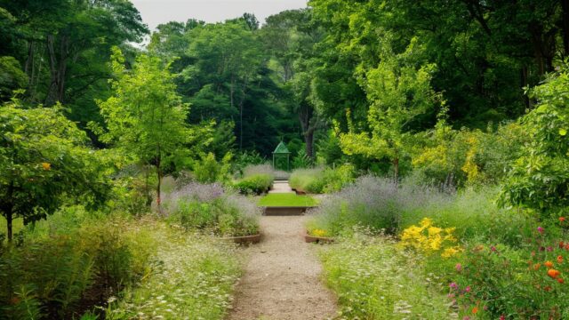 eco-friendly garden