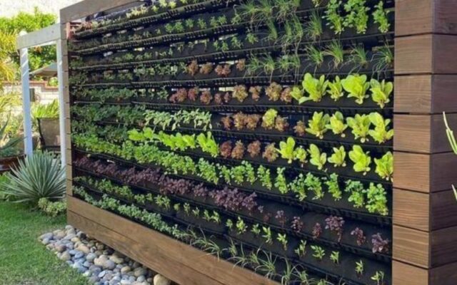 vertical gardening